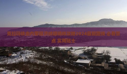 克拉玛依去内蒙额济纳胡杨林攻略
