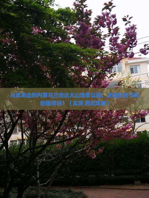 武夷山到内蒙乌兰哈达火山地质公园自由行