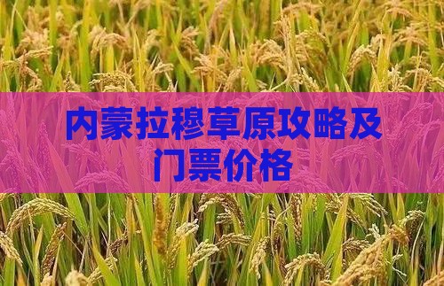 酒泉去内蒙希拉穆仁草原门票