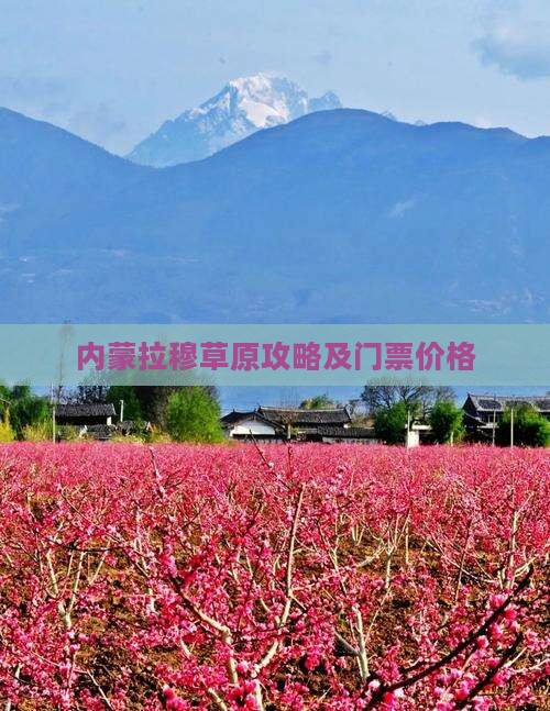 酒泉去内蒙希拉穆仁草原门票