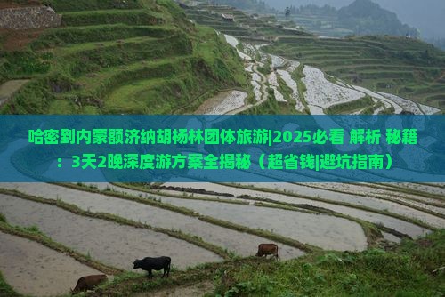 哈密到内蒙额济纳胡杨林团体旅游