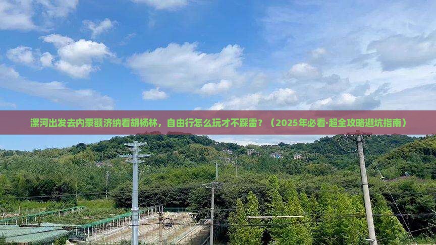漯河到内蒙额济纳胡杨林自由团