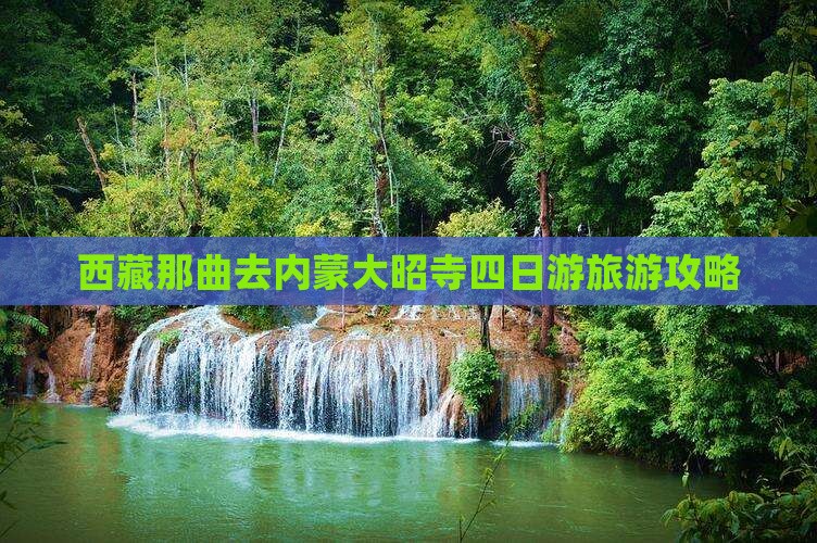 那曲去内蒙大召寺四日游
