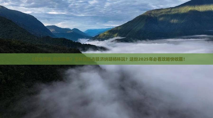 玉林去内蒙额济纳胡杨林哪里玩