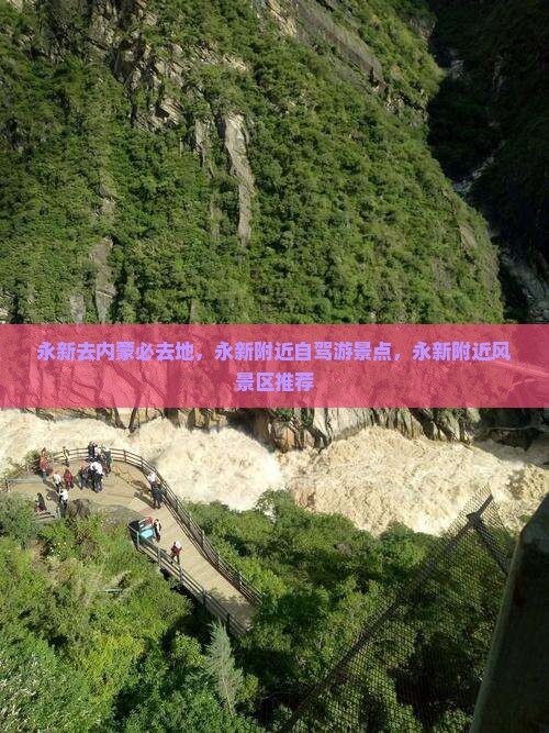 永新去内蒙必去地