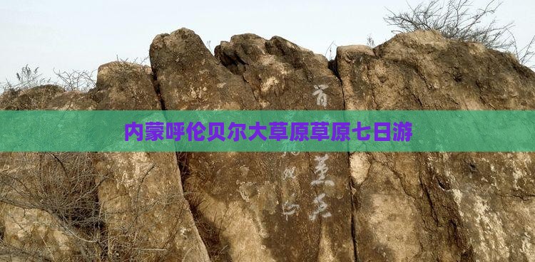 定西去内蒙呼伦贝尔大草原七日游