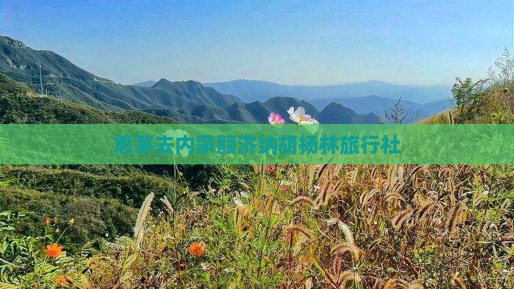 思茅去内蒙额济纳胡杨林旅行社
