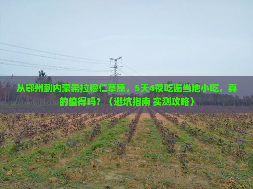 鄂州到内蒙希拉穆仁草原旅游小吃