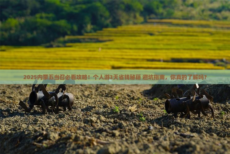 绥化到内蒙五当召个人游