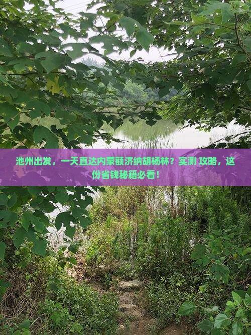池州到内蒙额济纳胡杨林一日游