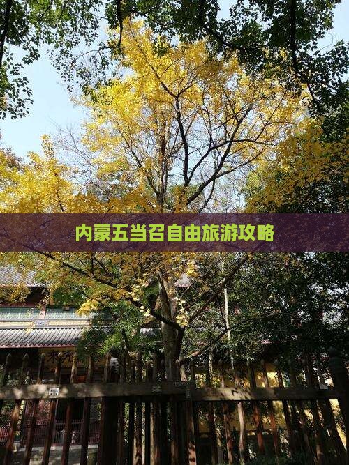 兴安盟到内蒙五当召自由团