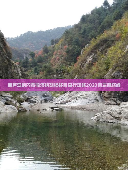葫芦岛到内蒙额济纳胡杨林自由行