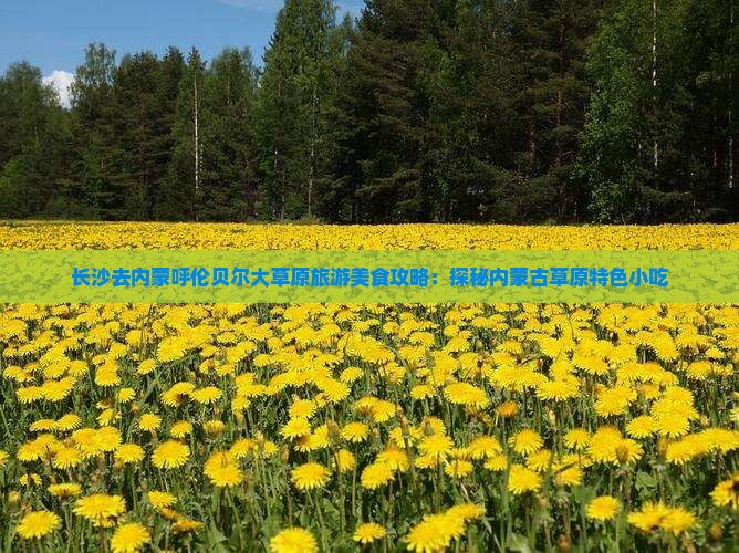 长沙去内蒙呼伦贝尔大草原旅游小吃