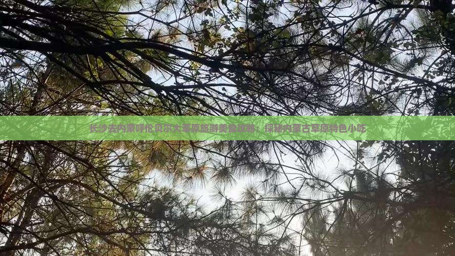 长沙去内蒙呼伦贝尔大草原旅游小吃