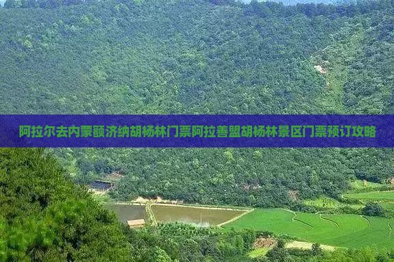 阿拉尔去内蒙额济纳胡杨林门票