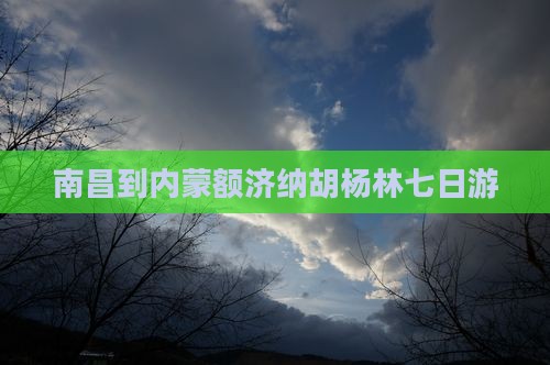 南昌到内蒙额济纳胡杨林七日游