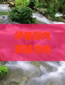 伊春到内蒙额济纳胡杨林一日游