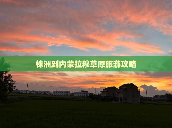 株洲到内蒙希拉穆仁草原个人游