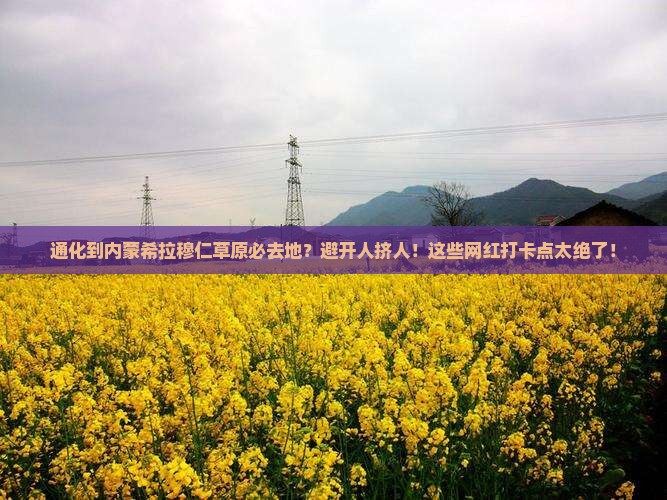 通化到内蒙希拉穆仁草原必去地