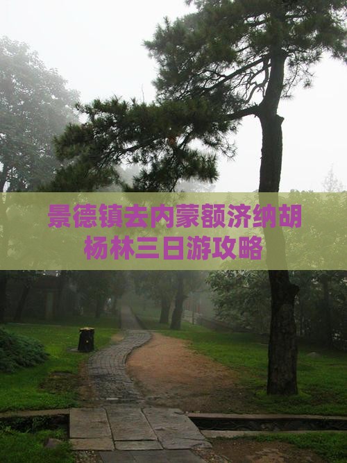 景德镇去内蒙额济纳胡杨林三日游