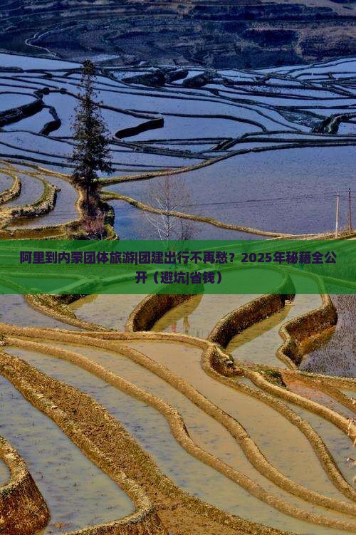 阿里到内蒙团体旅游