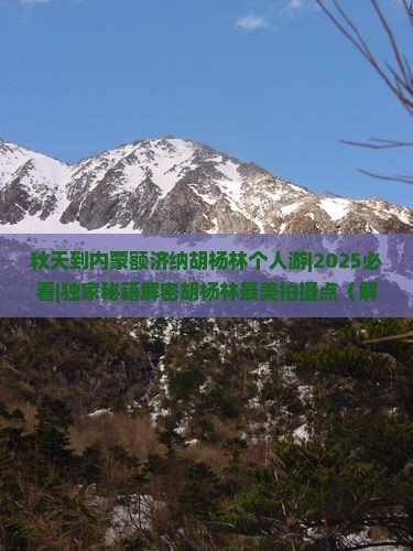 秋天到内蒙额济纳胡杨林个人游