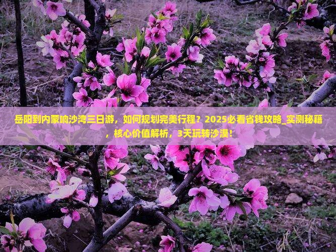 岳阳到内蒙响沙湾三日游