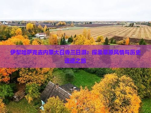 伊犁哈萨克去内蒙大召寺三日游
