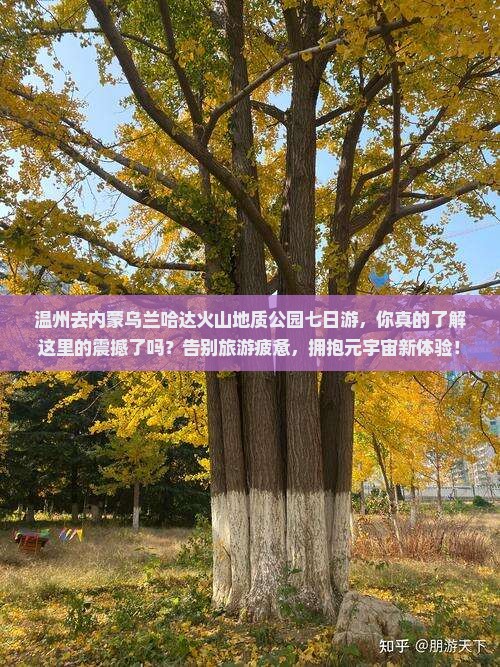 温州去内蒙乌兰哈达火山地质公园七日游 温州去内蒙乌兰哈达火山地质公园七日游