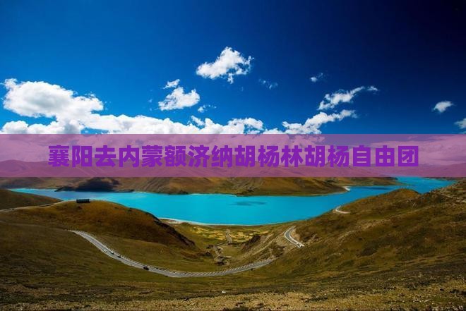 襄阳去内蒙额济纳胡杨林自由团