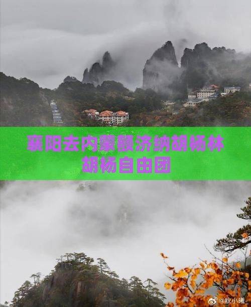 襄阳去内蒙额济纳胡杨林自由团