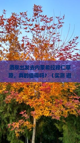 酒泉到内蒙希拉穆仁草原旅游