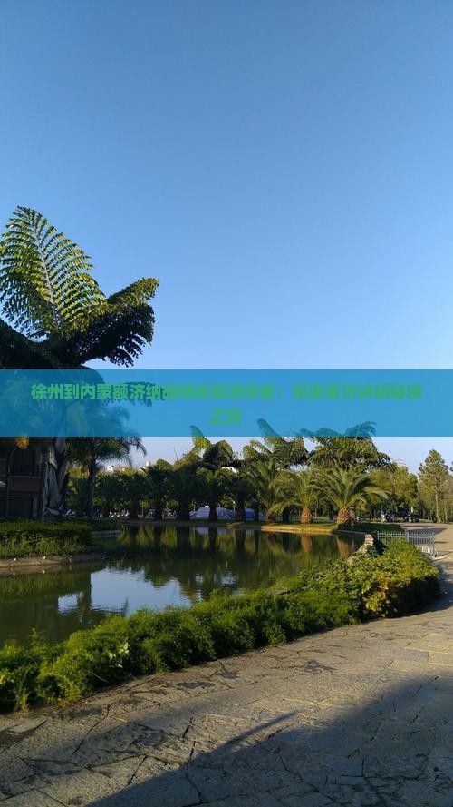 徐州到内蒙额济纳胡杨林个人游