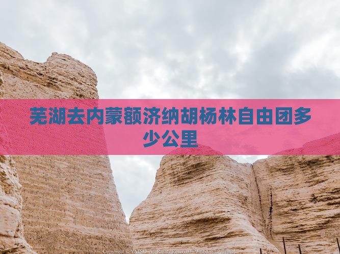 芜湖去内蒙额济纳胡杨林自由团
