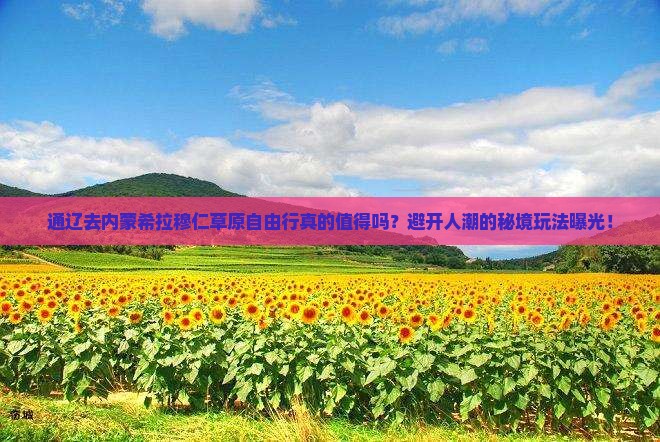 通辽去内蒙希拉穆仁草原自由行