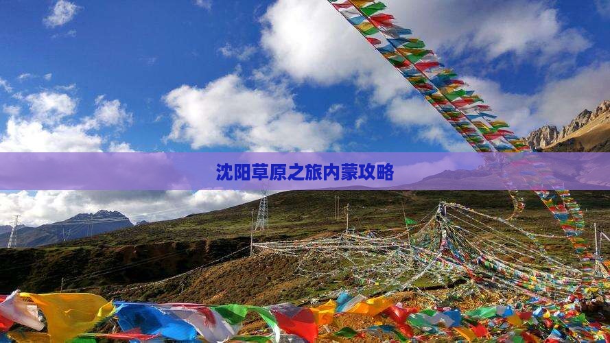 沈阳去内蒙门票