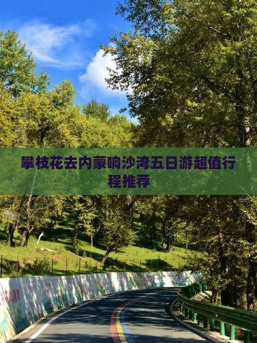 攀枝花去内蒙响沙湾五日游