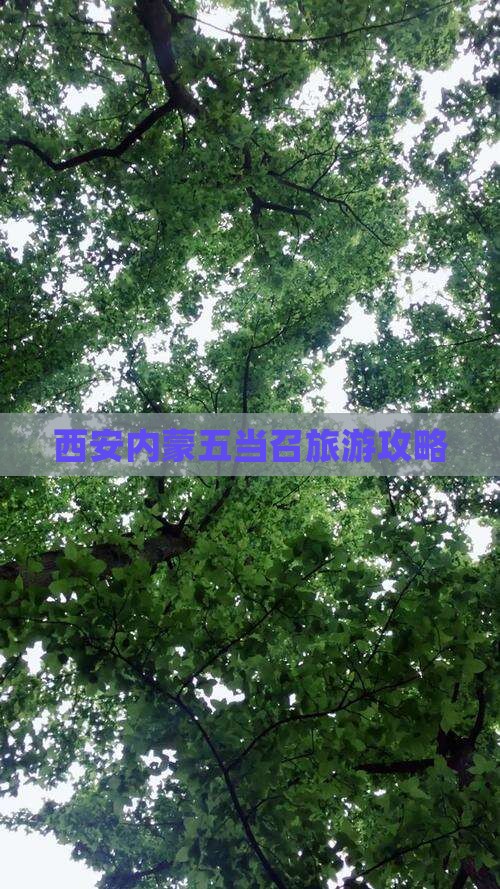 西安去内蒙五当召大型旅游团