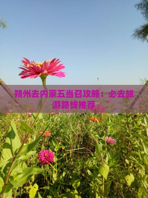 朔州去内蒙五当召必去地
