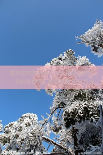夏天去内蒙呼伦贝尔大草原四日游