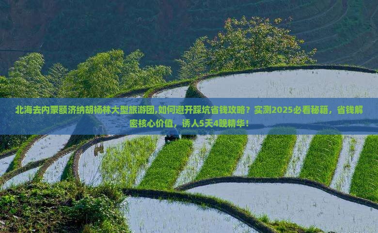 北海去内蒙额济纳胡杨林大型旅游团