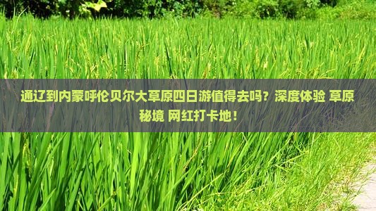 通辽到内蒙呼伦贝尔大草原四日游