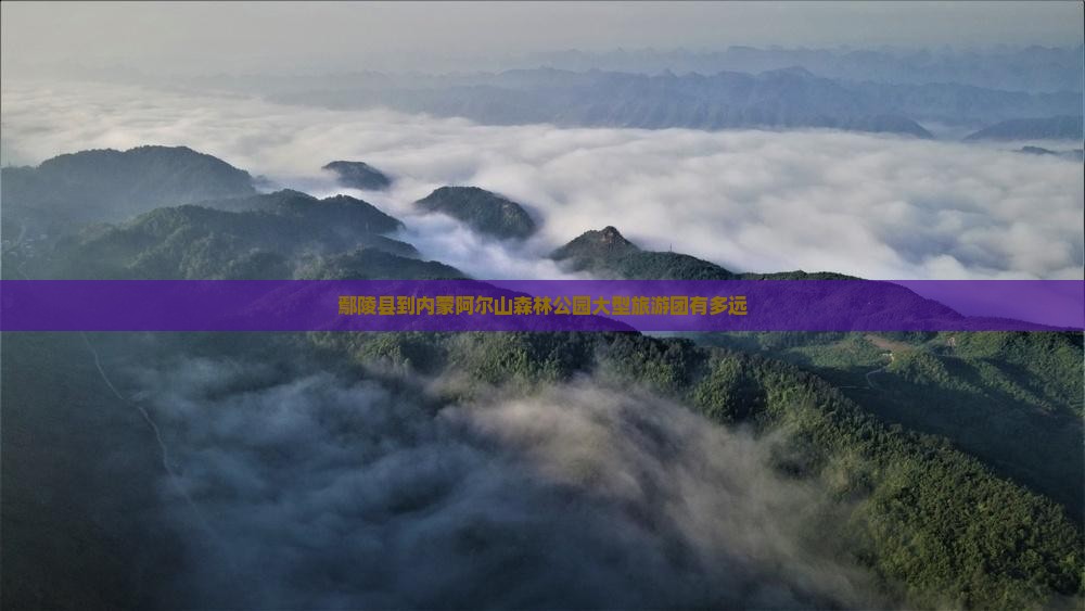 鄢陵县到内蒙阿尔山国家森林公园大型旅游团
