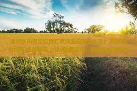 潍坊到内蒙希拉穆仁草原五日游