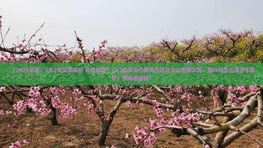 江门到内蒙乌兰哈达火山地质公园旅行社