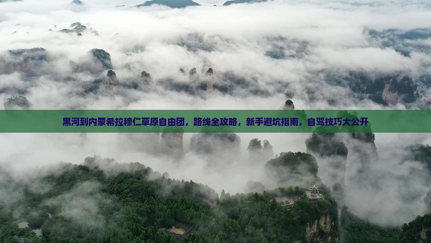 黑河到内蒙希拉穆仁草原自由团