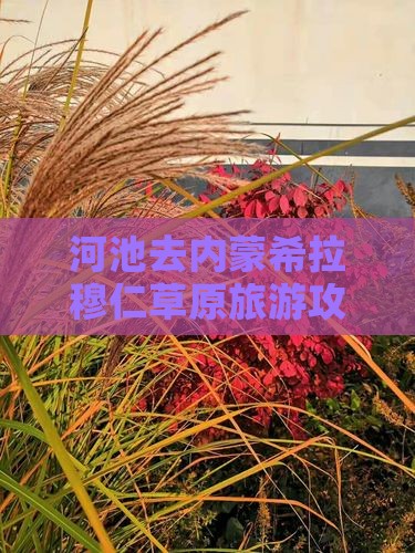 河池去内蒙希拉穆仁草原旅行社