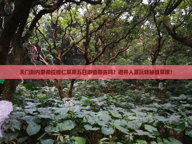 天门到内蒙希拉穆仁草原五日游