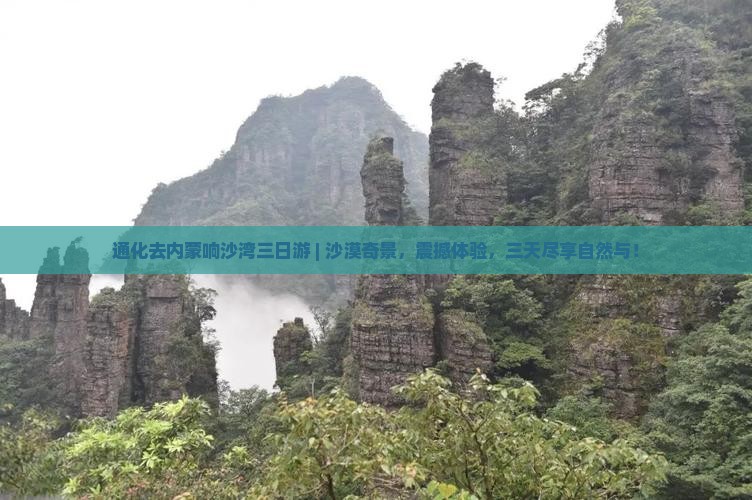 通化去内蒙响沙湾三日游