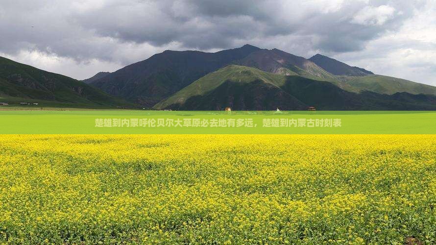 楚雄到内蒙呼伦贝尔大草原必去地